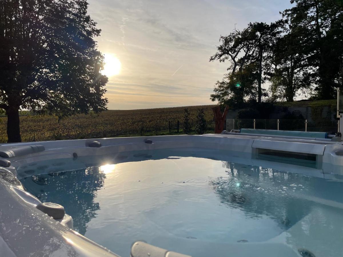 Best View, Pool And Spa On The Champagne Vineyard Saint-Thierry Zewnętrze zdjęcie