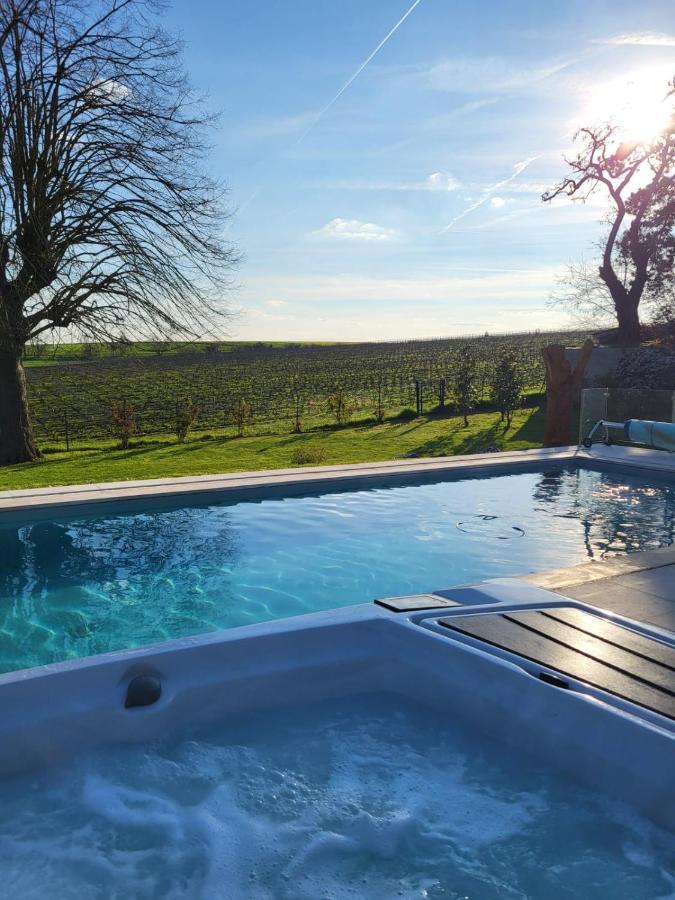 Best View, Pool And Spa On The Champagne Vineyard Saint-Thierry Zewnętrze zdjęcie