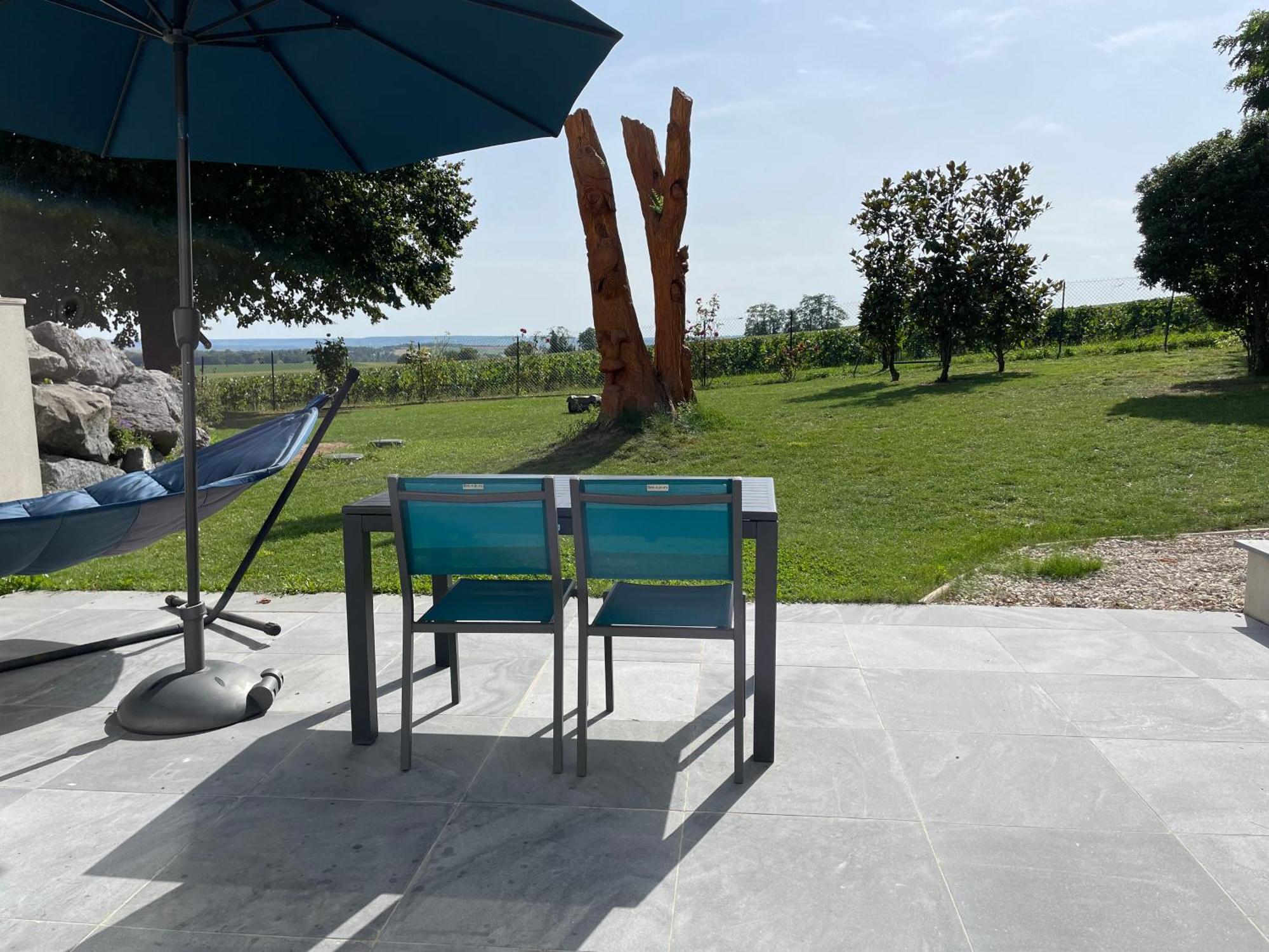 Best View, Pool And Spa On The Champagne Vineyard Saint-Thierry Zewnętrze zdjęcie